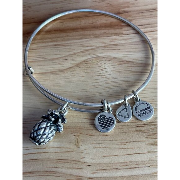 Alex And Ani Silver Pineapple Expandable Bangle Bracelet With Energy Technology - Picture 2 of 6